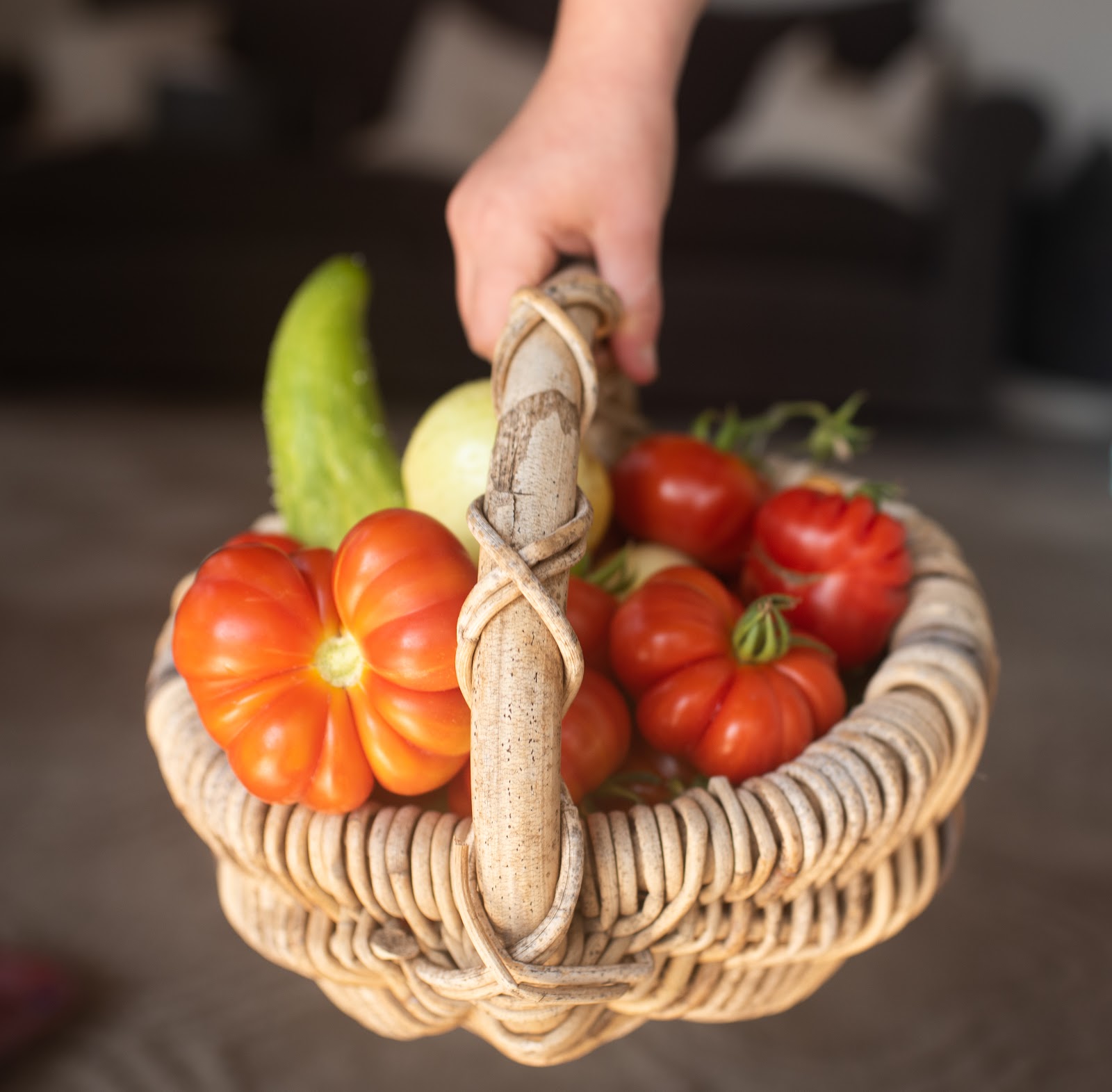 Produce basket in sunlight